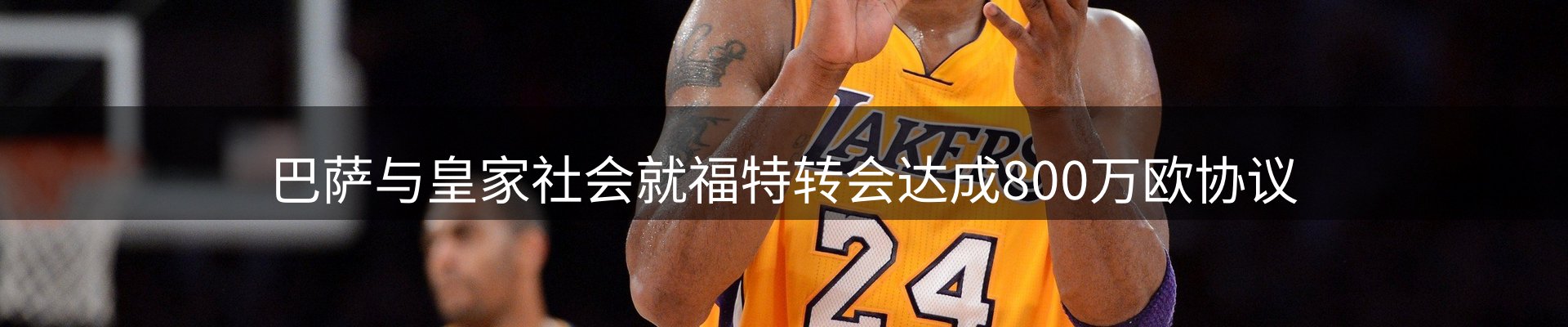 行业观察