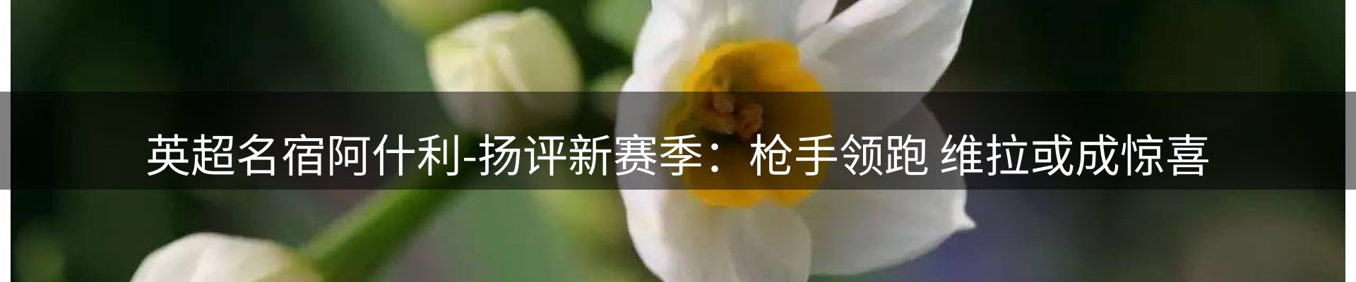 行业资讯